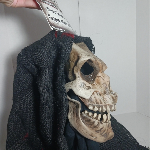 Zagone Studios Halloween Mask Grim Reaper Face Mask - Picture 7 of 10